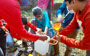 activity-science