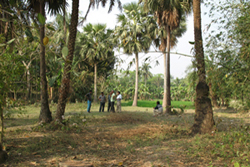 surroundings-2